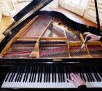 Lessons from a Blind Piano Tuner